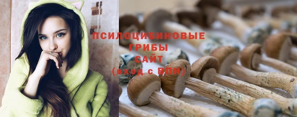 индика Володарск