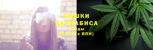 прущие грибы Михайловск