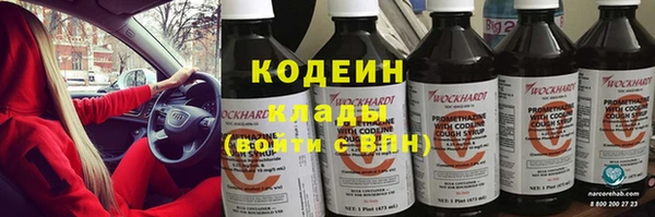 прущие грибы Михайловск