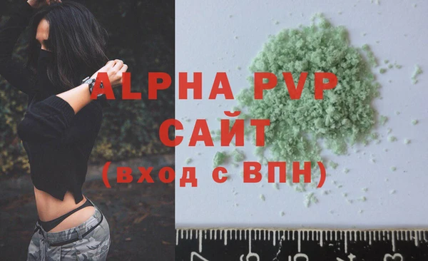 индика Володарск