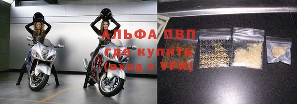 индика Володарск