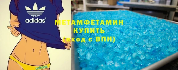 индика Володарск