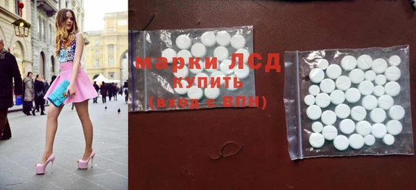 индика Володарск