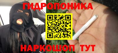 крисы Бузулук