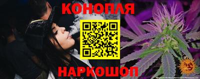 крисы Бузулук