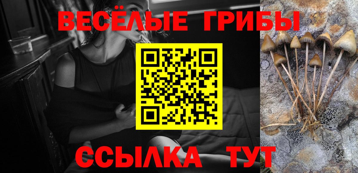 Псилоцибиновые грибы MAGIC MUSHROOMS Воткинск